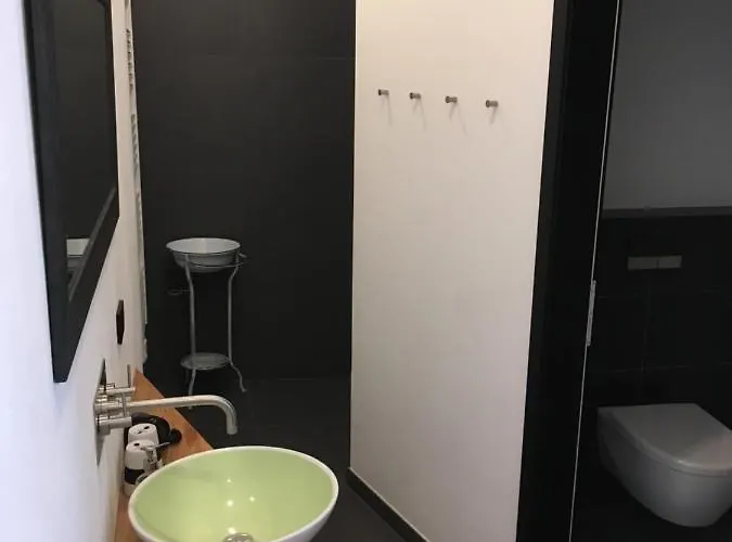 Zum Gruenen Baum Hotell