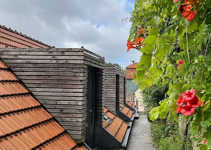 Zum Gruenen Baum Hotell